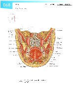 Sobotta Atlas of Human Anatomy  Head,Neck,Upper Limb Volume1 2006, page 75